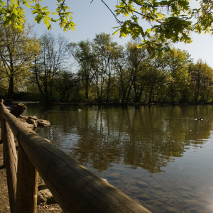 Parco di Legnano