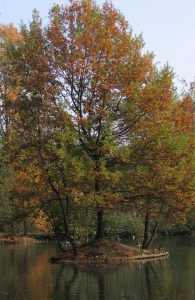 Parco di Legnano a due passi dal Welcome
