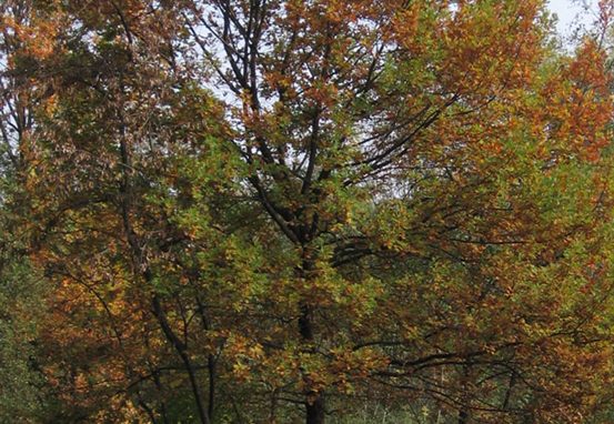 Parco di Legnano a due passi dal Welcome