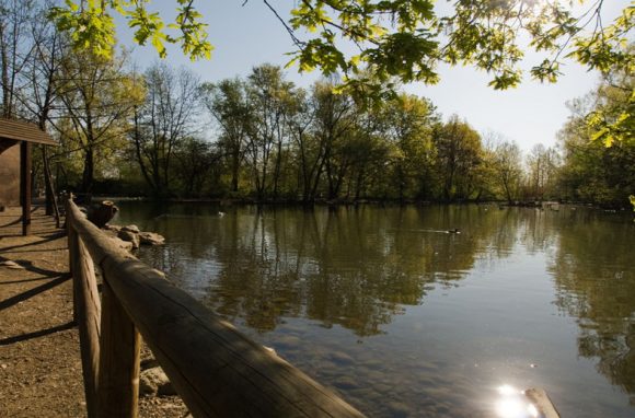 Parco di Legnano