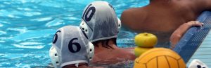 pallanuoto mastini BPM sport management